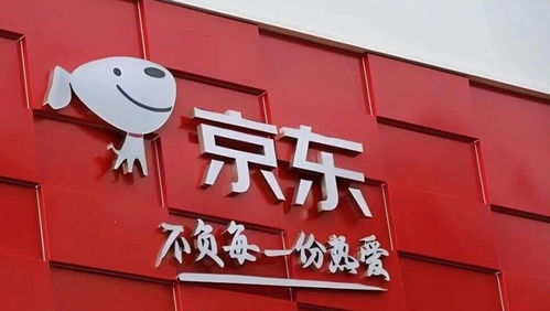 日用百貨撐起京東零售 利潤(rùn)下滑超50%背后，外賣(mài)業(yè)務(wù)仍需持續(xù)輸血